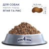 Клуб 4 Лапи Adult Small Breeds Lamb & Rice - гіпоалергенний сухий корм з ягням та рисом для дорослих собак малих порід 14кг