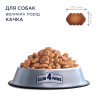 Клуб 4 Лапи Adult Large Breeds Duck - сухий корм з качкою для дорослих собак великих порід 14кг