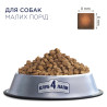 Клуб 4 Лапи Adult Small Breeds - сухий корм з куркою для дорослих собак малих порід